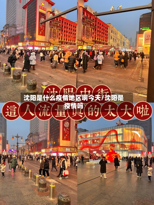 沈阳是什么疫情地区啊今天/沈阳是疫情吗