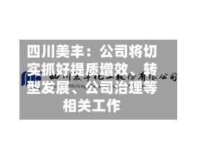 四川美丰：公司将切实抓好提质增效、转型发展、公司治理等相关工作-第2张图片