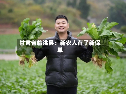 甘肃省临洮县：新农人有了新保单