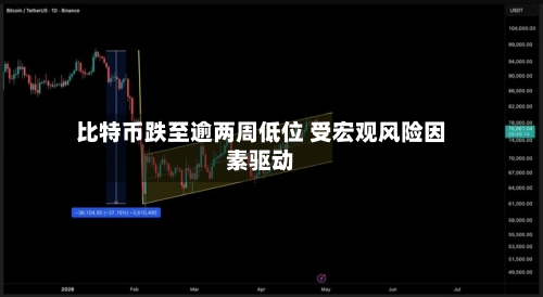 比特币跌至逾两周低位 受宏观风险因素驱动