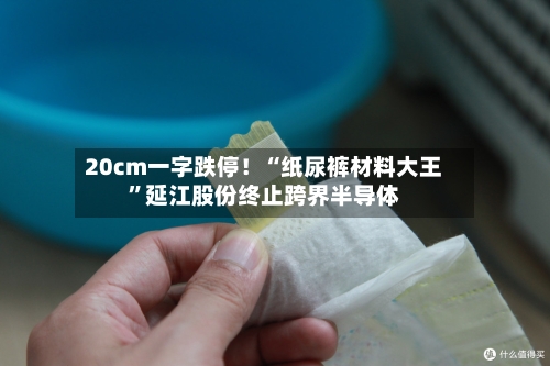 20cm一字跌停！“纸尿裤材料大王”延江股份终止跨界半导体-第2张图片