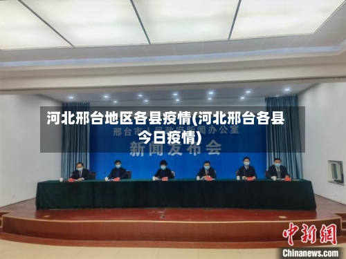 河北邢台地区各县疫情(河北邢台各县今日疫情)-第2张图片