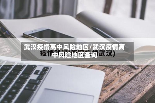 武汉疫情高中风险地区/武汉疫情高中风险地区查询