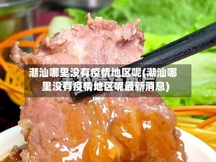 潮汕哪里没有疫情地区呢(潮汕哪里没有疫情地区呢最新消息)-第2张图片