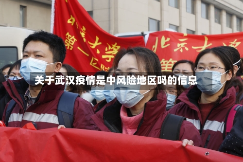 关于武汉疫情是中风险地区吗的信息-第2张图片