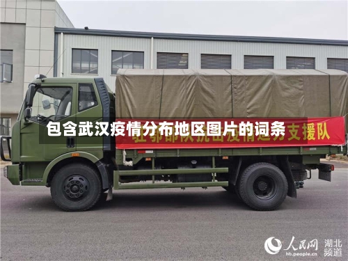 包含武汉疫情分布地区图片的词条