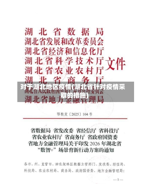 对于湖北地区疫情(湖北省针对疫情采取的措施)-第2张图片