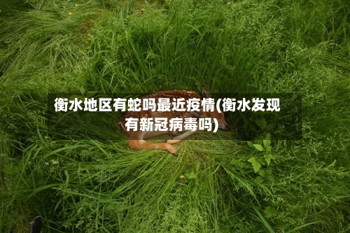 衡水地区有蛇吗最近疫情(衡水发现有新冠病毒吗)